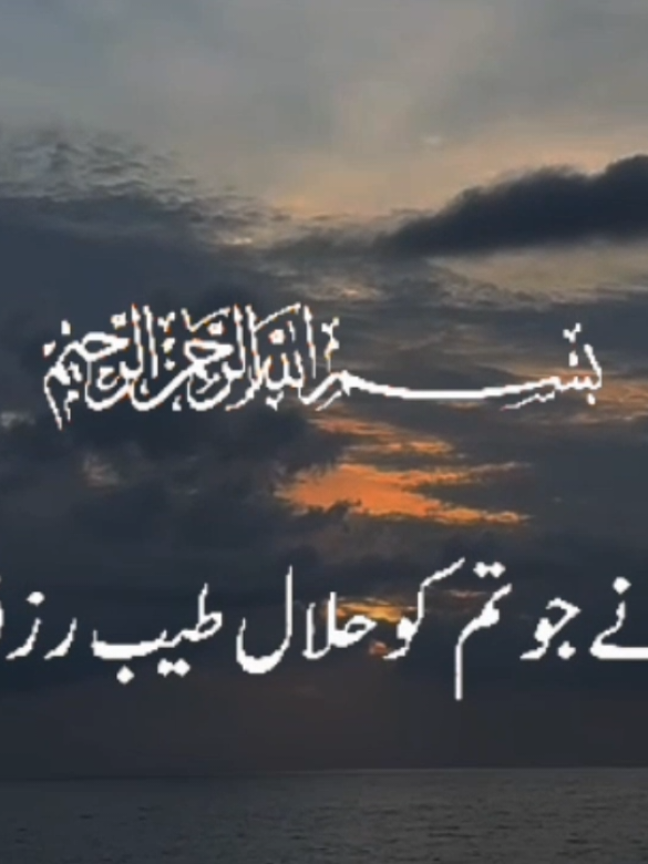 @❤️ALLAH Aalmin❤️