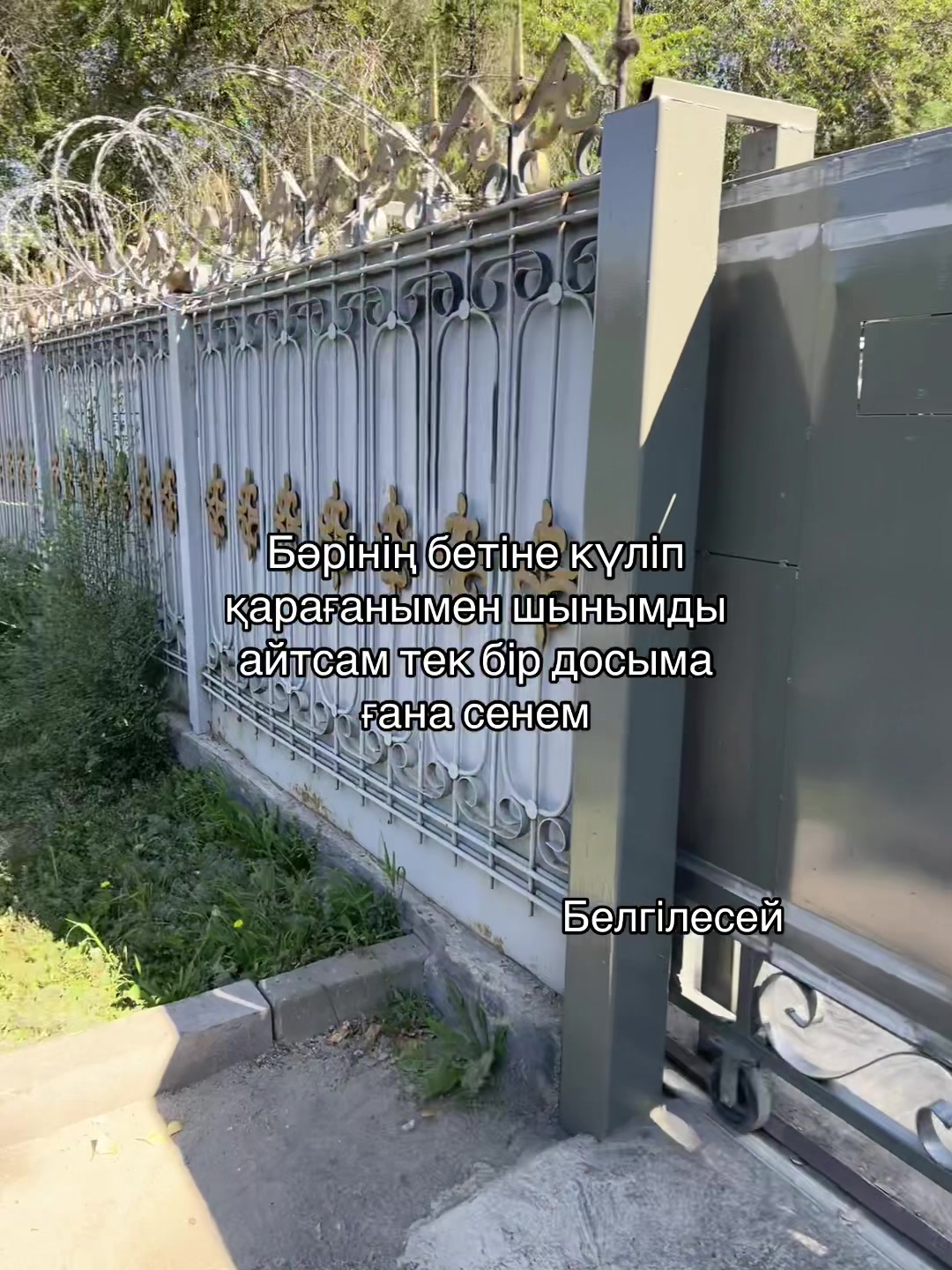 @ай’м жохаа
