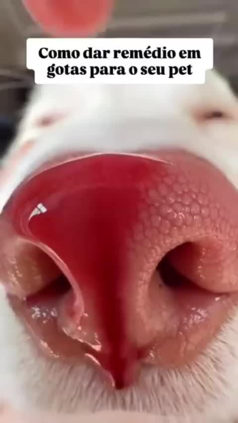 @Detalhes Da Saúde
