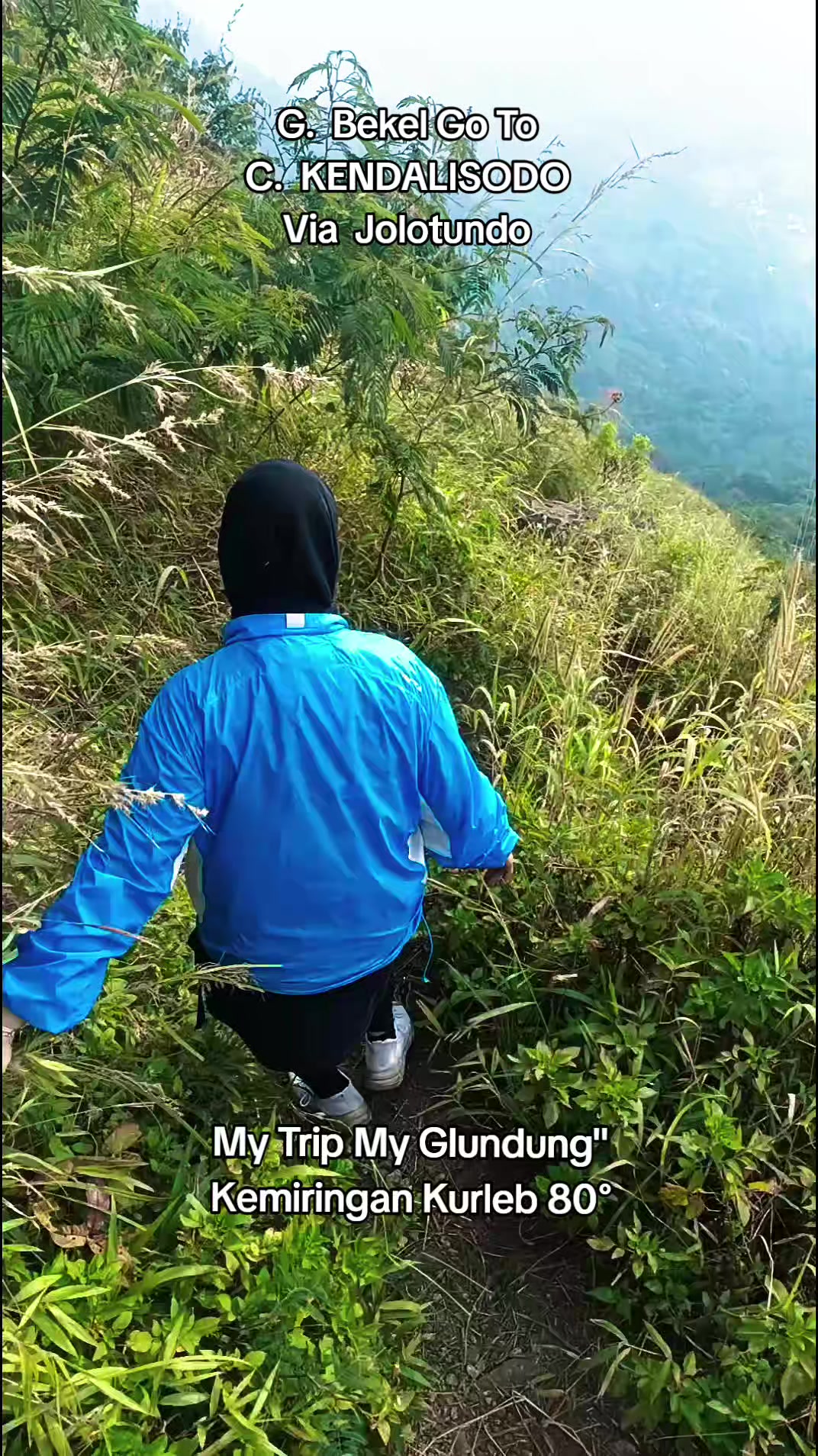 @shintaharsini