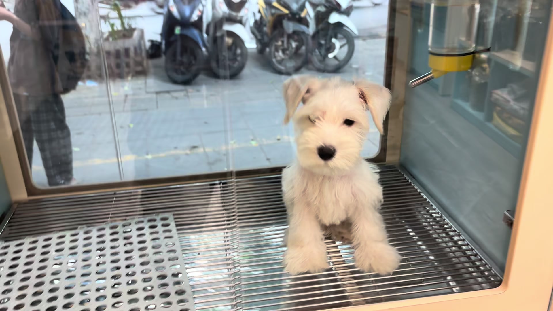 @PetHouse - Thế giới Pet