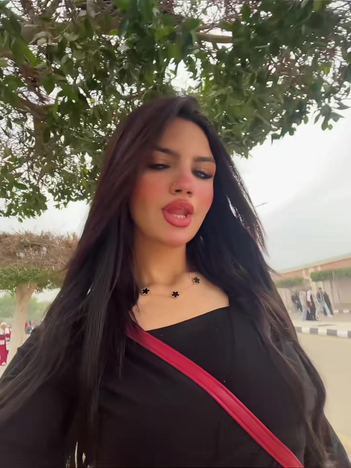 @nourahmed