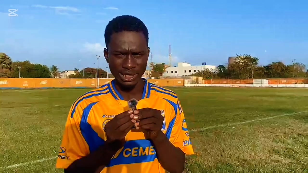 @BAH OFFICIAL 🇬🇲🇬🇳