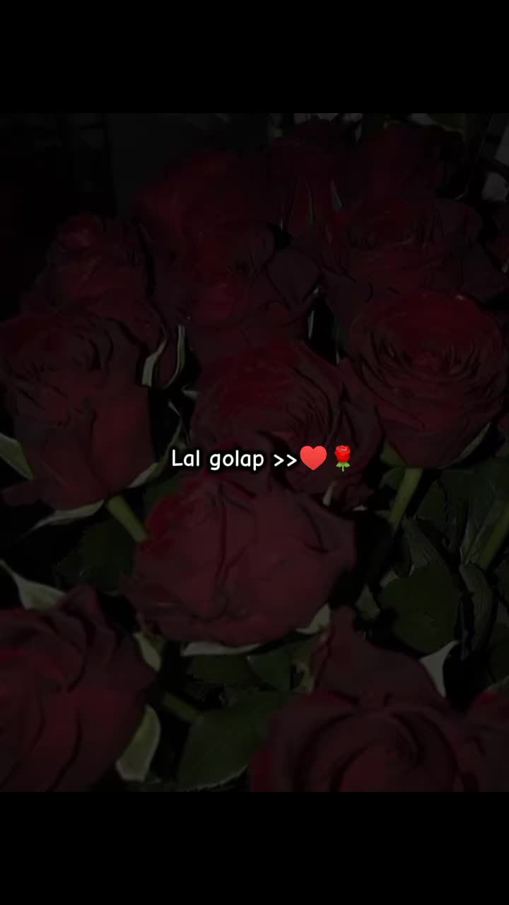 @𝄟≛⃝𝗦ᴜᴍᴀɪʏᴀ❣༄