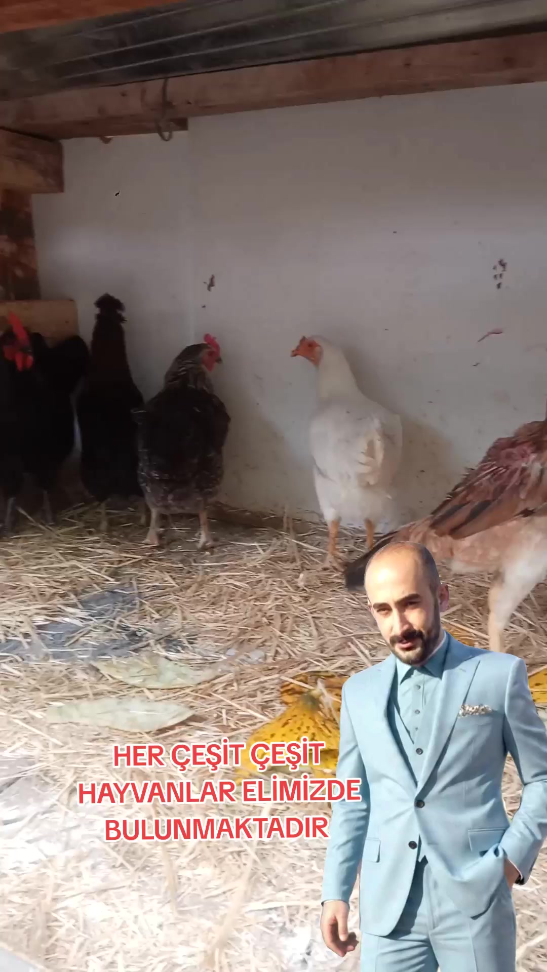 @nefretimsin dünya
