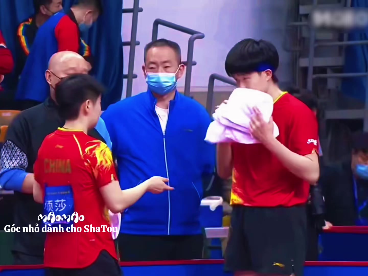 @Góc nhỏ dành cho ShaTou🦁🦈❤️