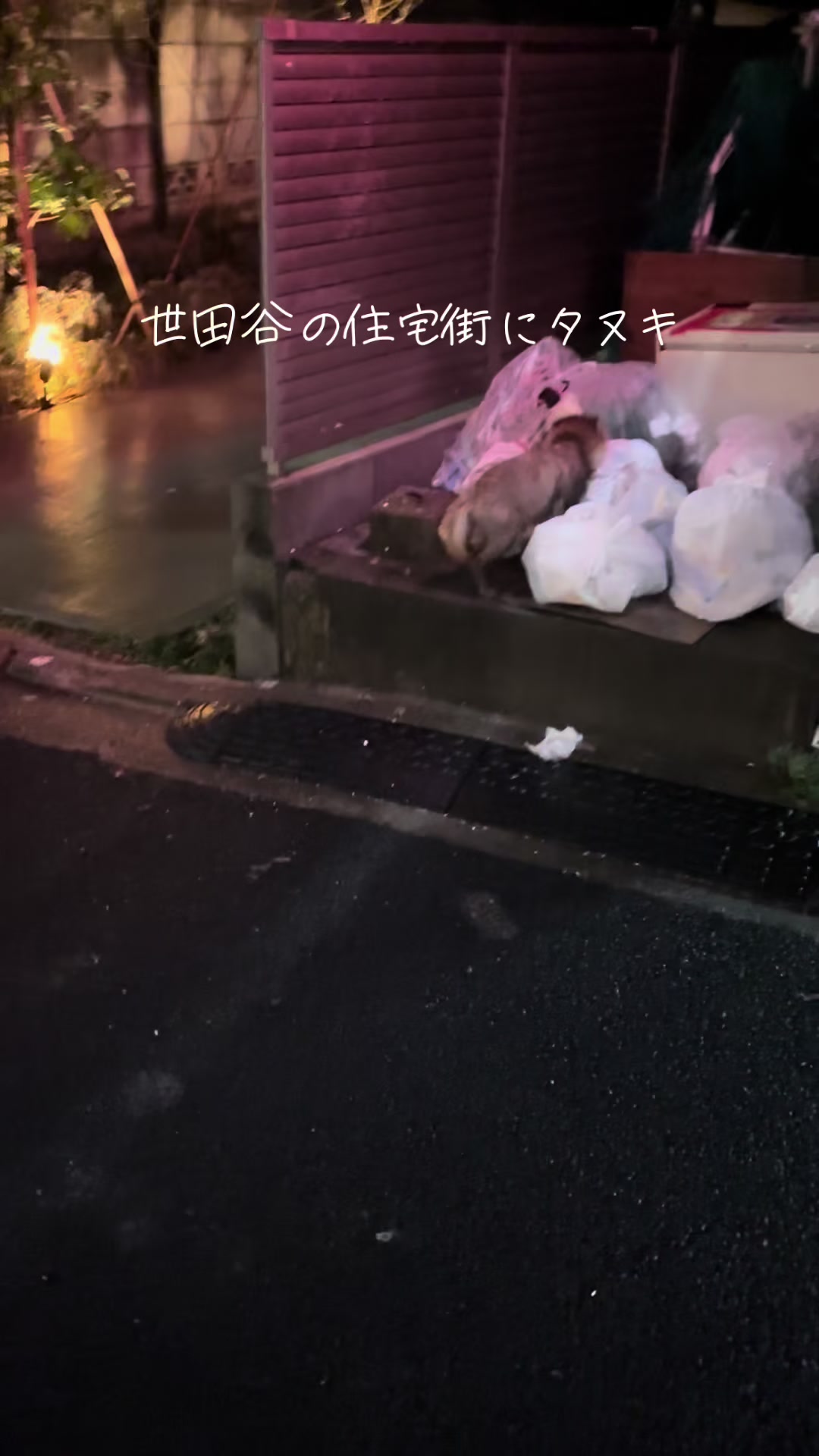 @草野球リーガーミッチー