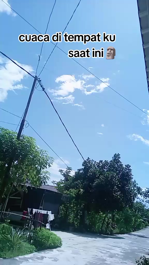 @𐙚⋆°🦢⋆ᥫ᭡️𝐀ᥡᥲ𐙚⋆°🦢⋆ᥫ᭡