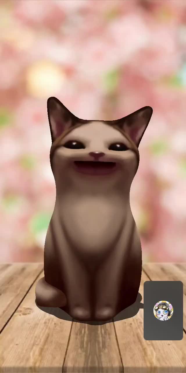 @🐈🌕朔夜