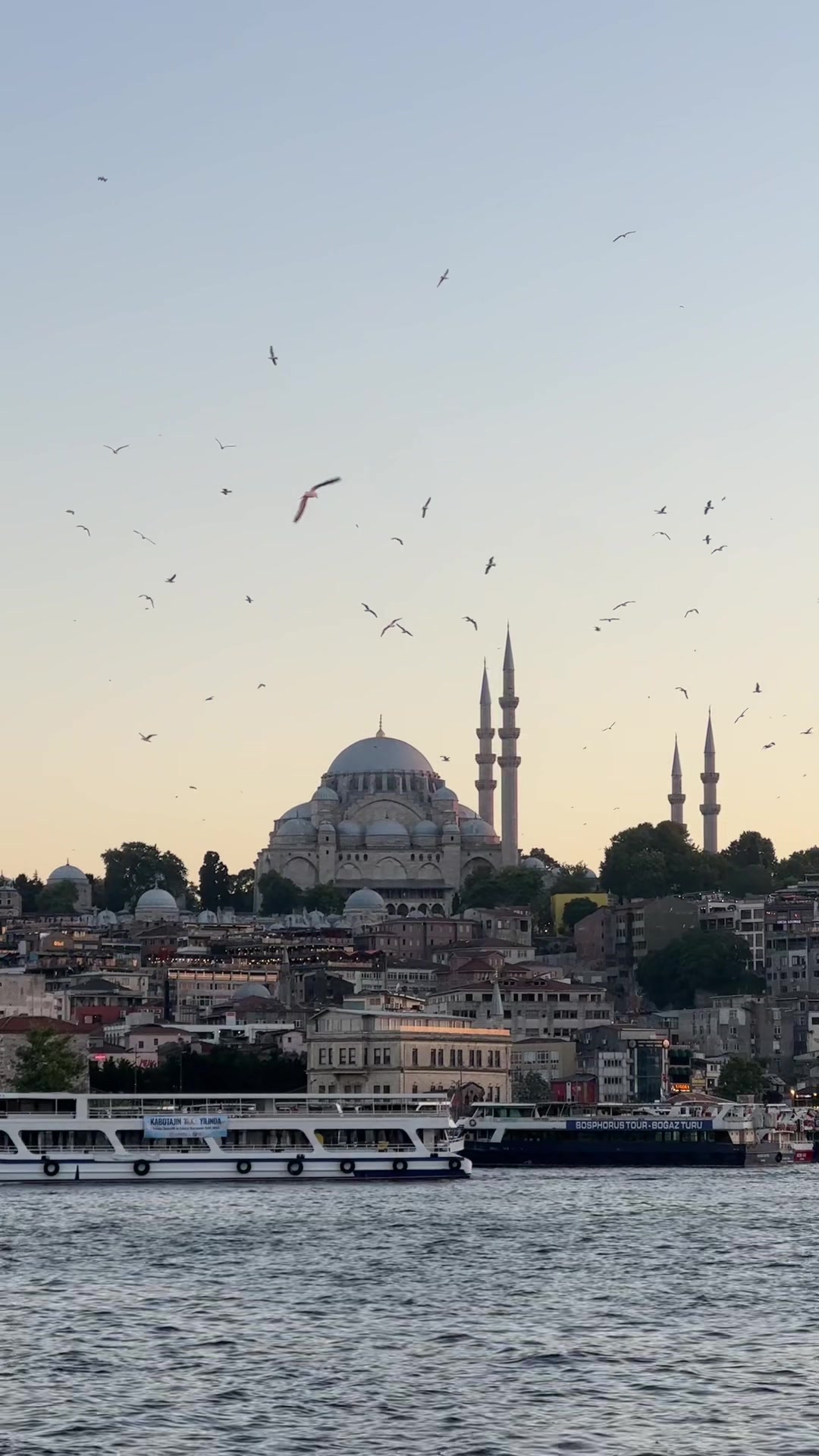 @Yağmur Özçelik