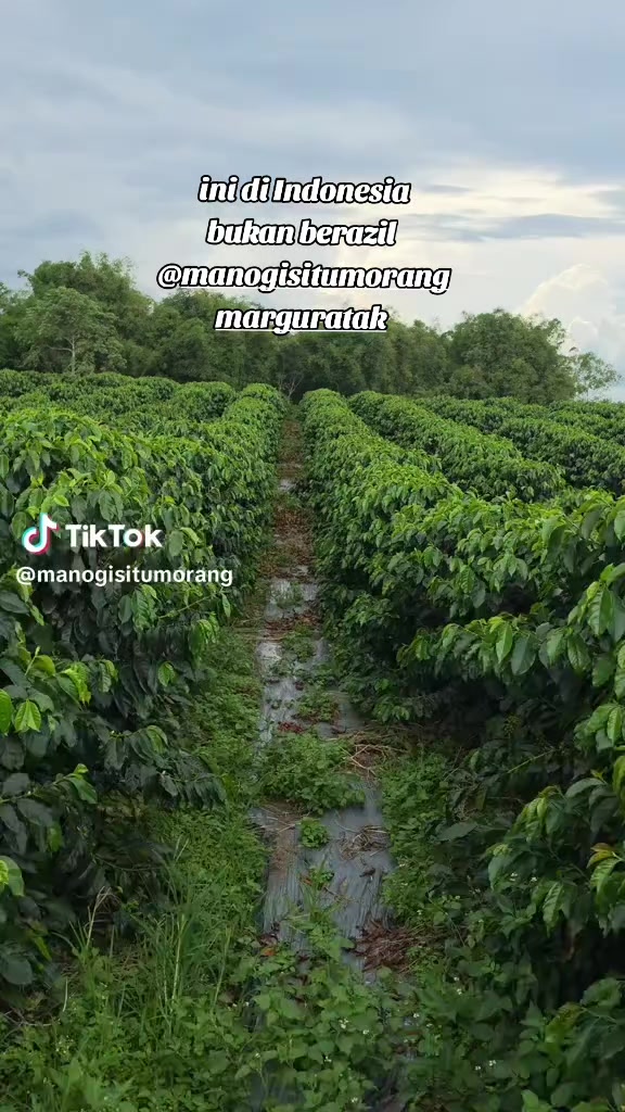 @kopi HD