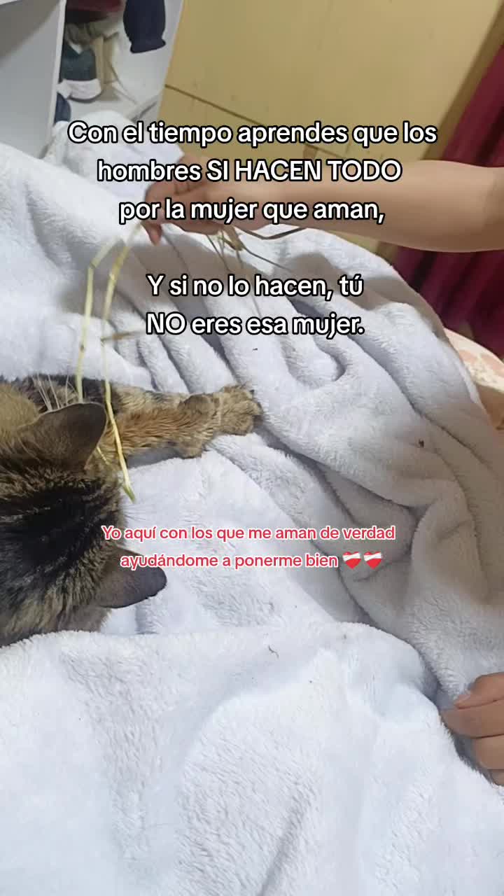 @Maryfernandez4719