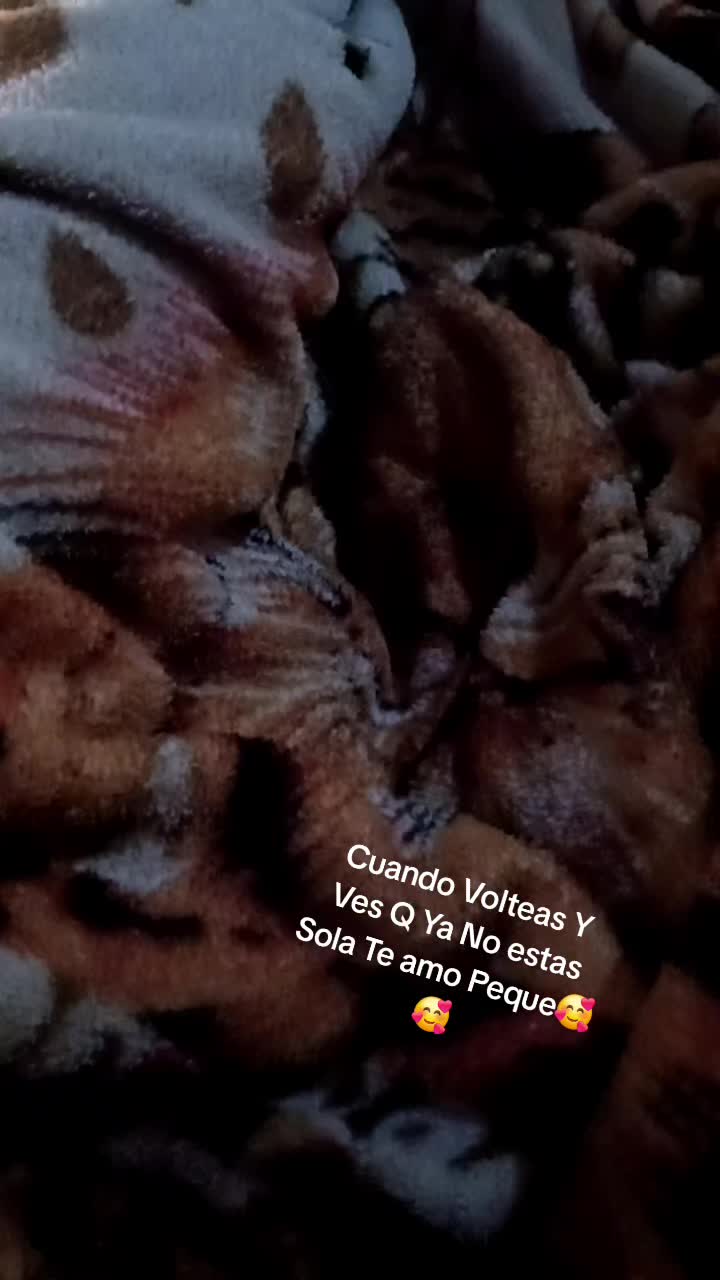 @Sofi Arias