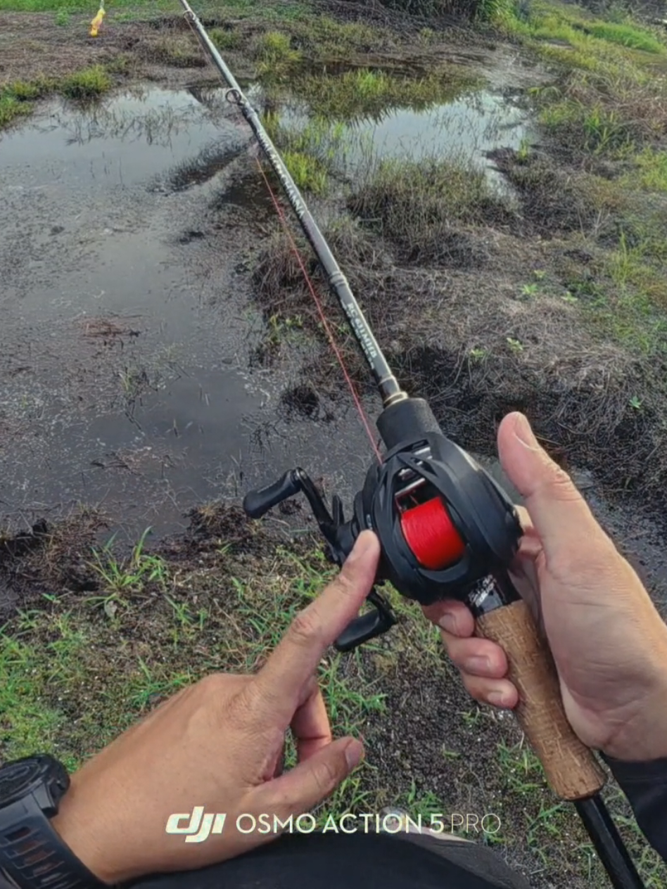 @Damz Strike Fishing
