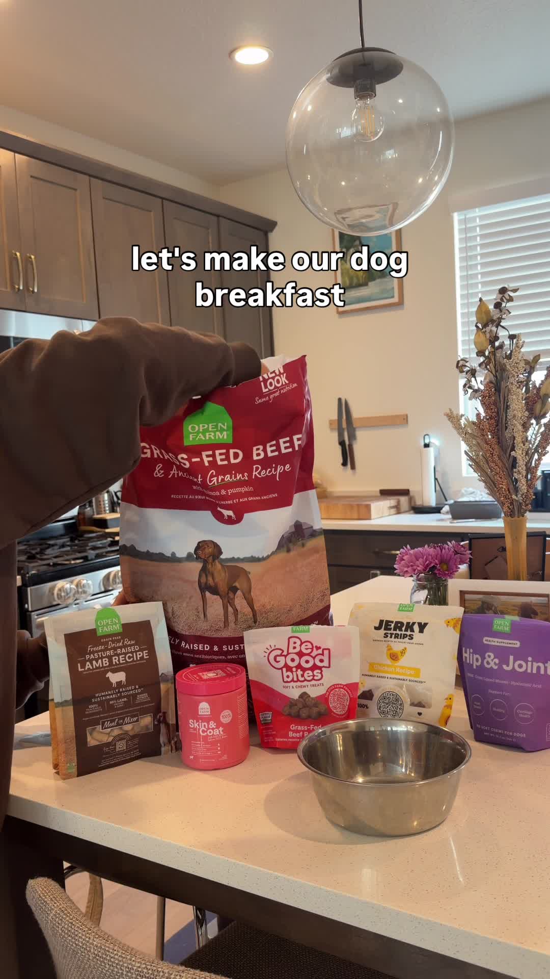@Rex the Rottweiler
