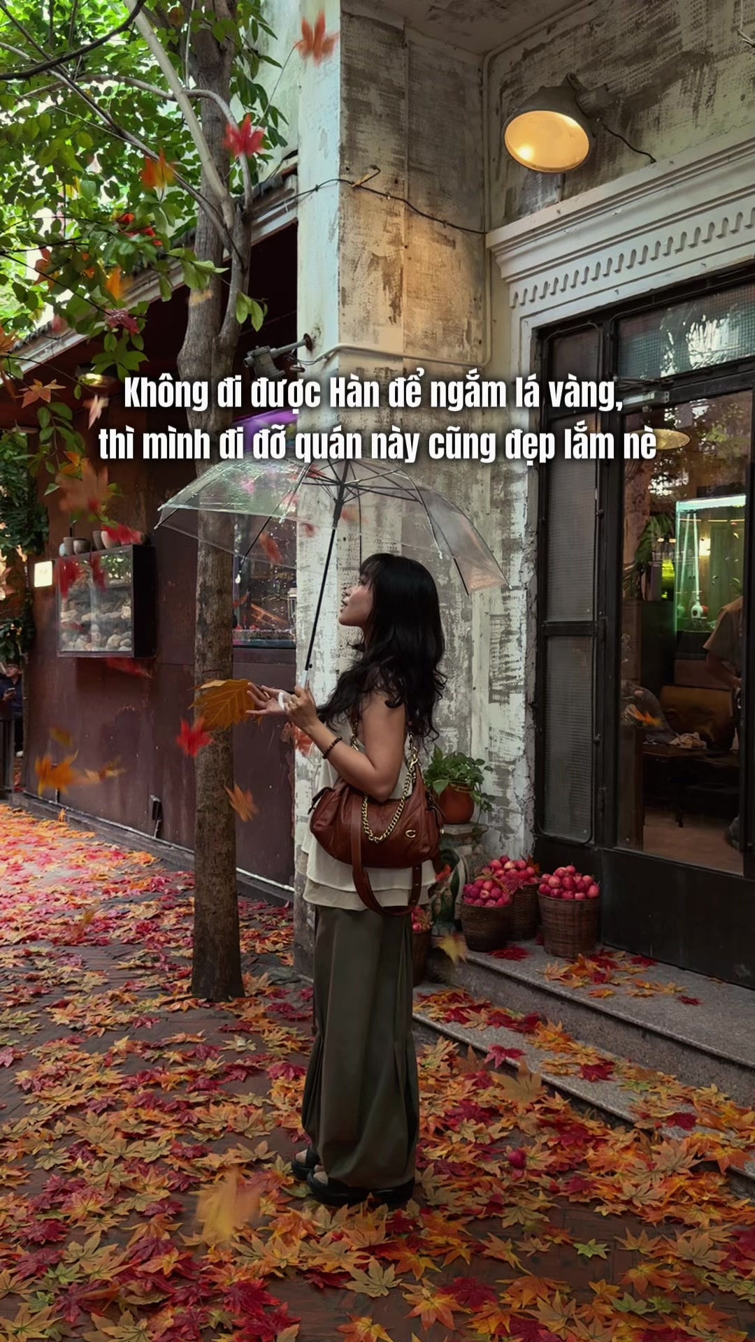 @Kita nèeee 💁🏻♀️