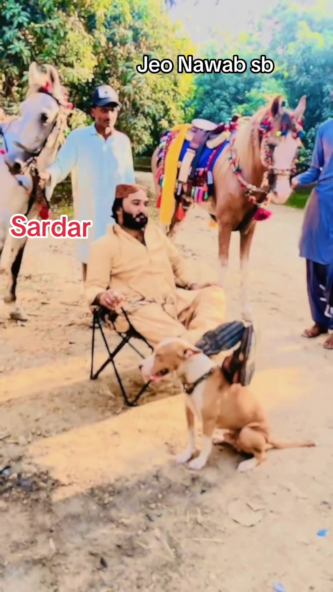 @Sardar Ali Hassan taherani