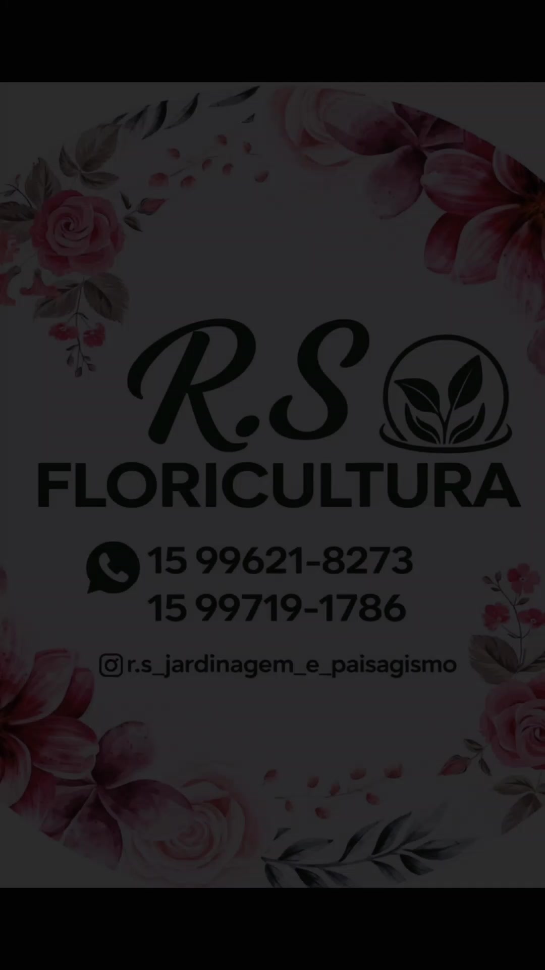 @🏳️🌈Ander Ribeiro🇧🇷