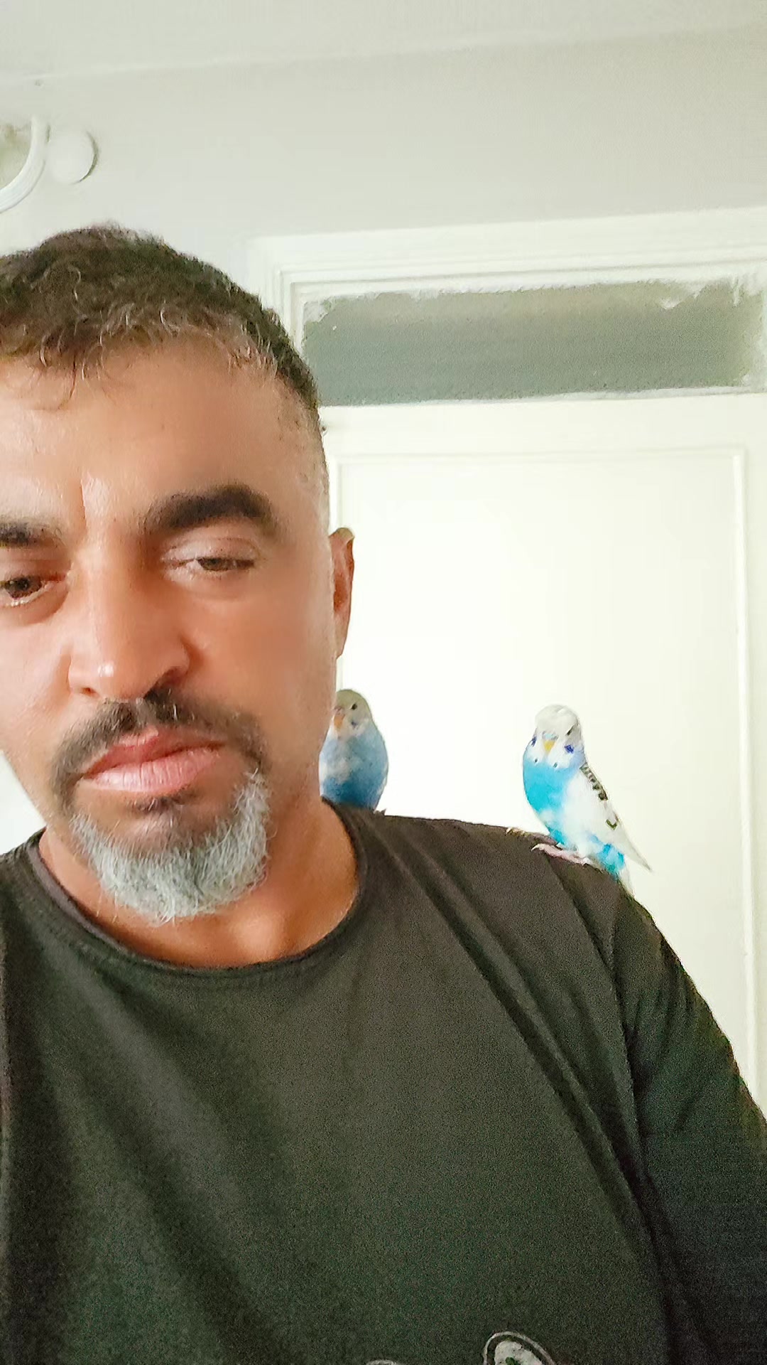 @Y&uuml;ksel muhabbet kuşu