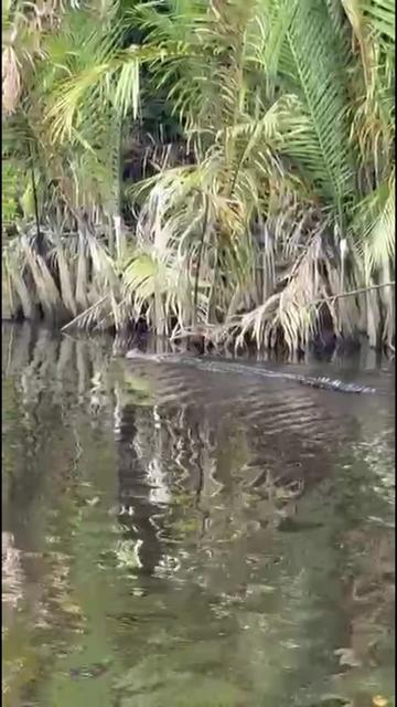 @Wonderful Tanjung Puting