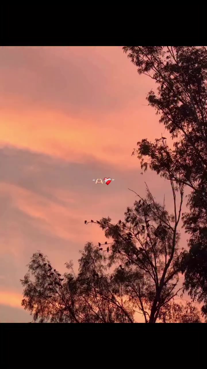 @B7F乛حسيب