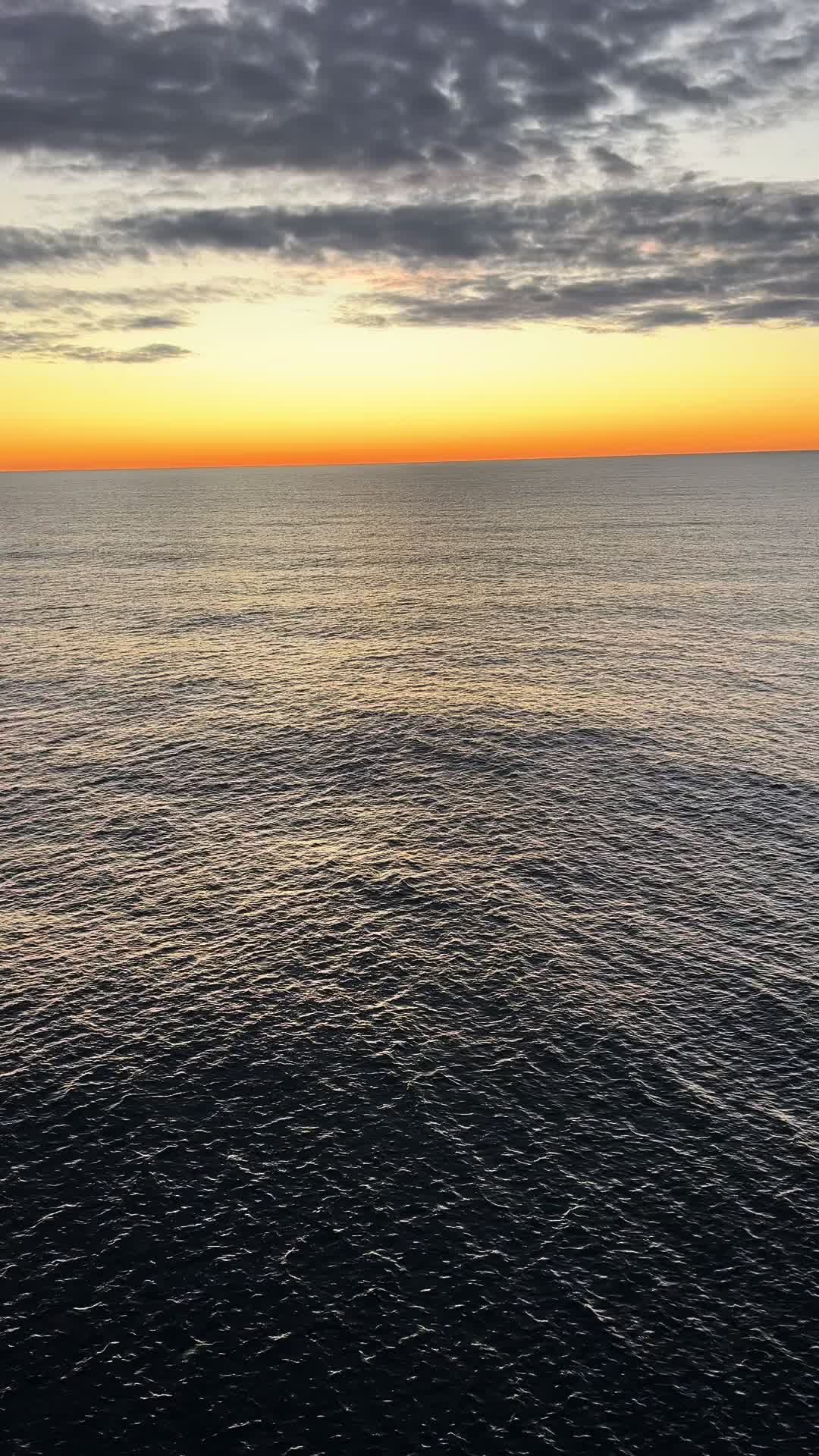 @adventuresofdominic
