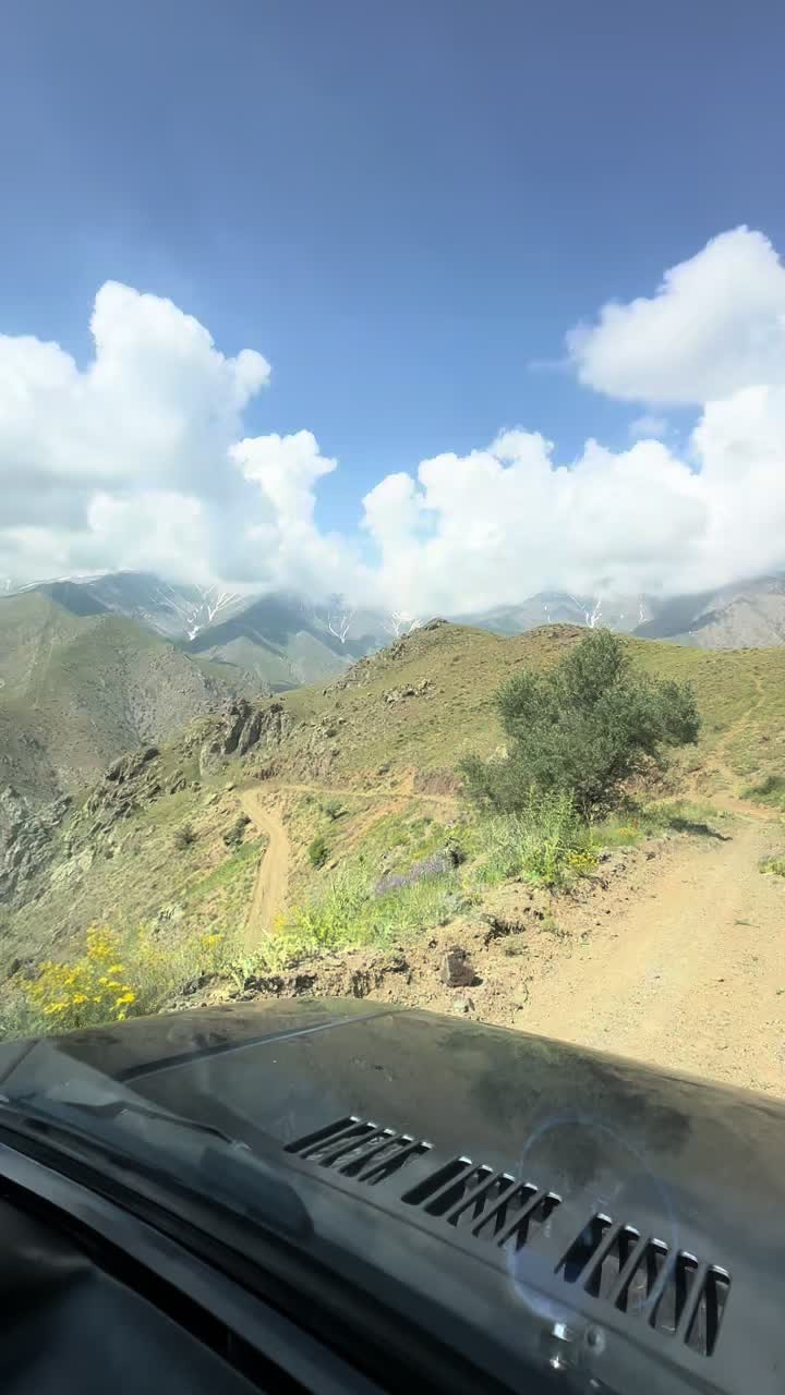 @rzajafaroqlu060