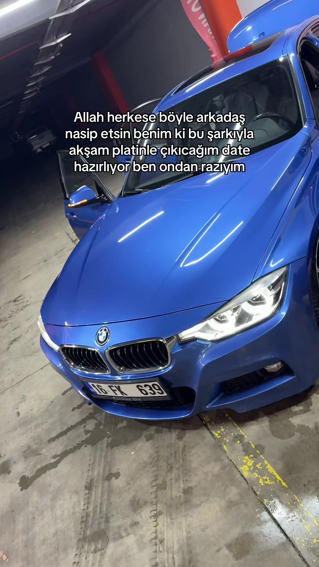 @talhalyn