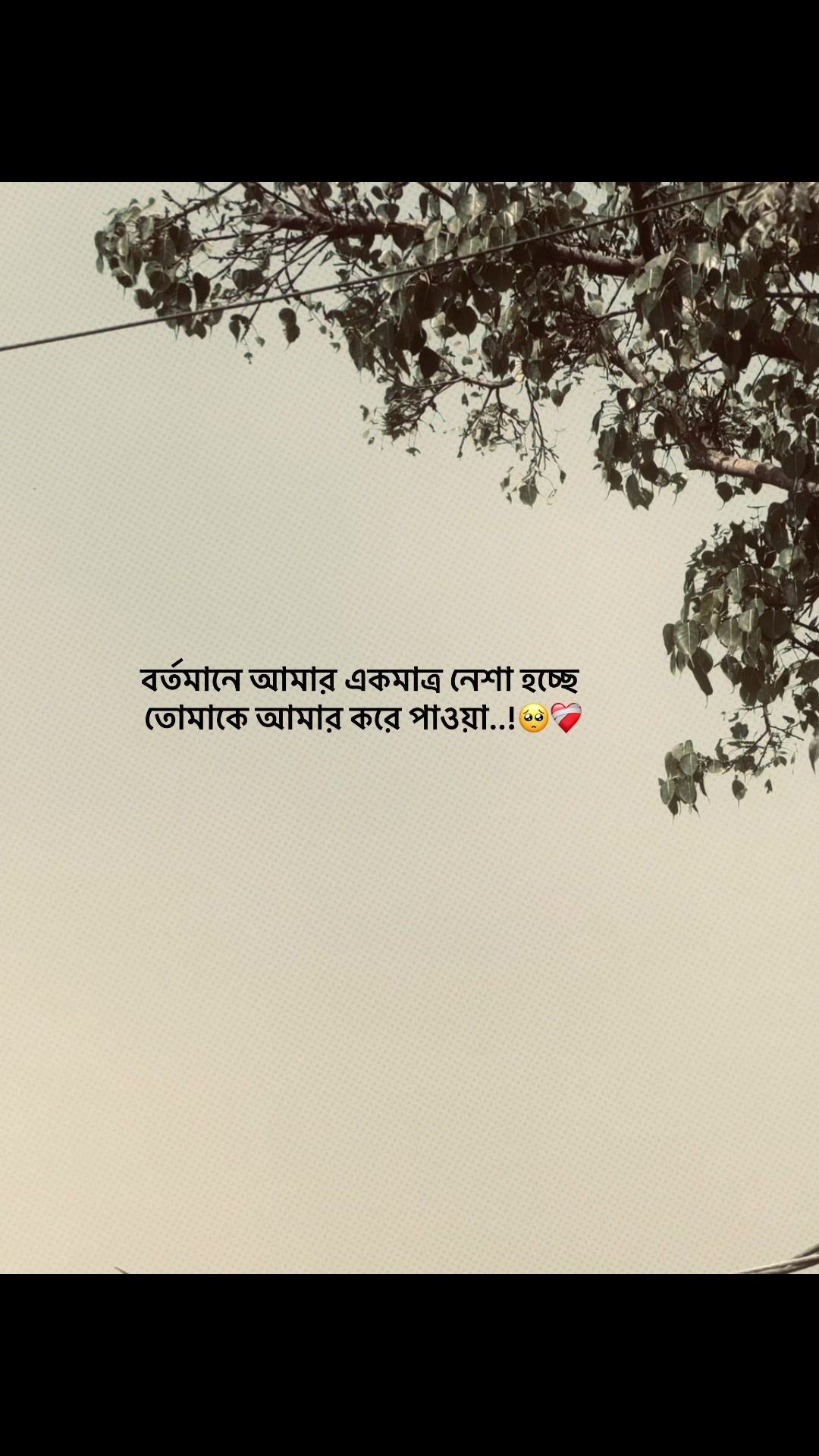 @NOTE LINE 🚩