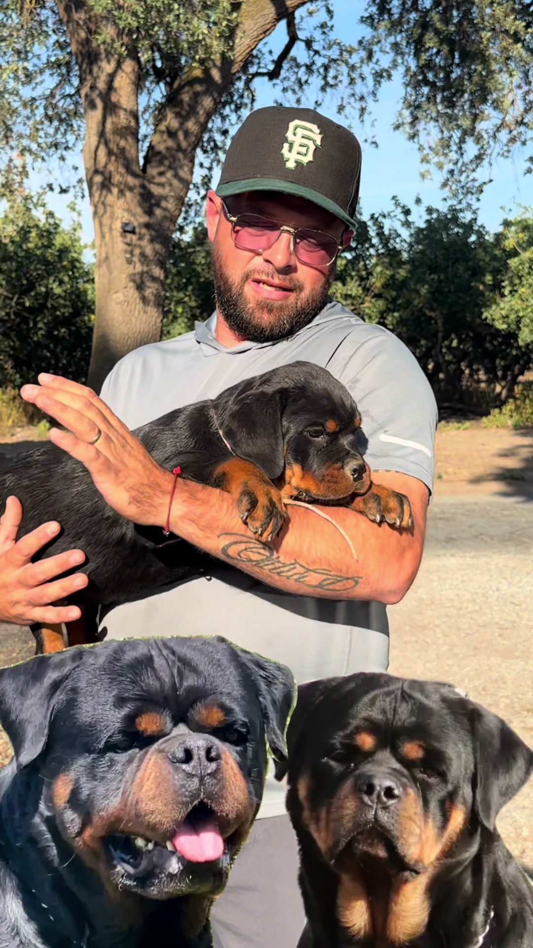 @✨VON DER MU&Ntilde;OZ ROTT&rsquo;S✨