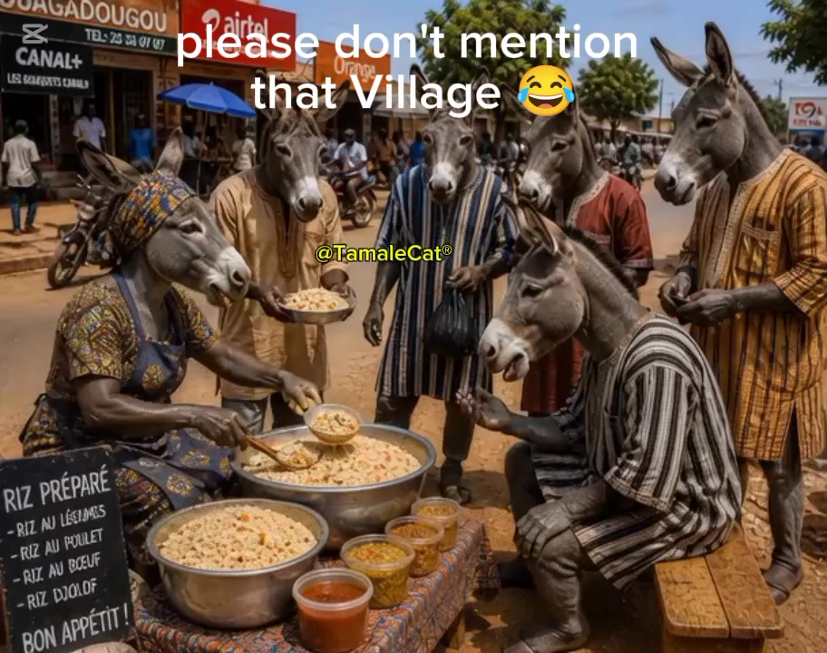 @Tamale Cat