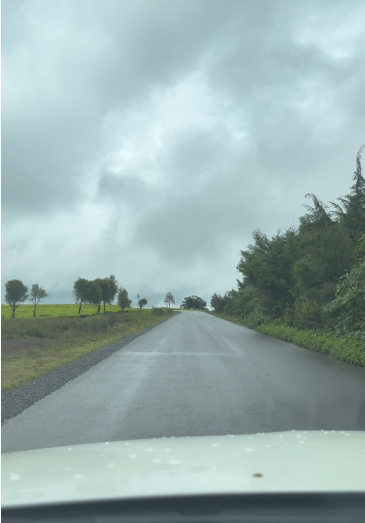 @RoadRecce