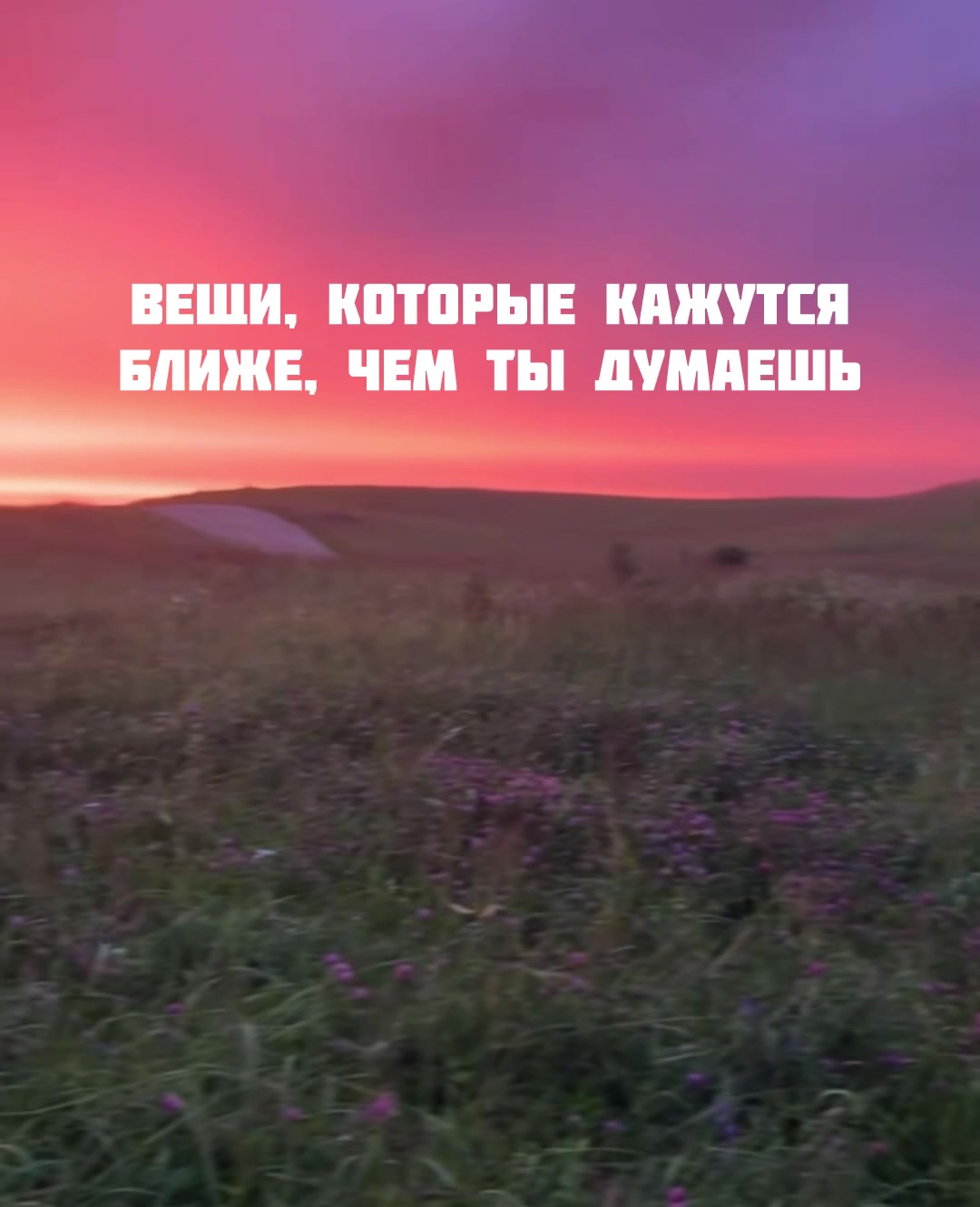 @Тгк:oge_cliv ответы огэ