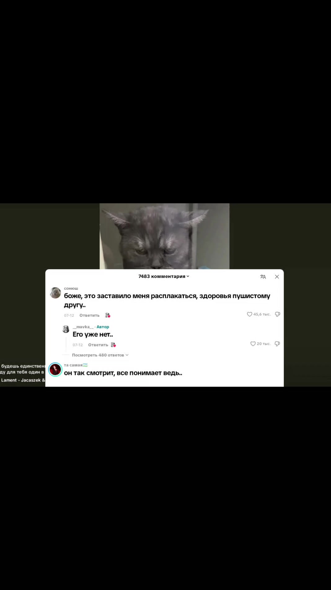@TT_ferok