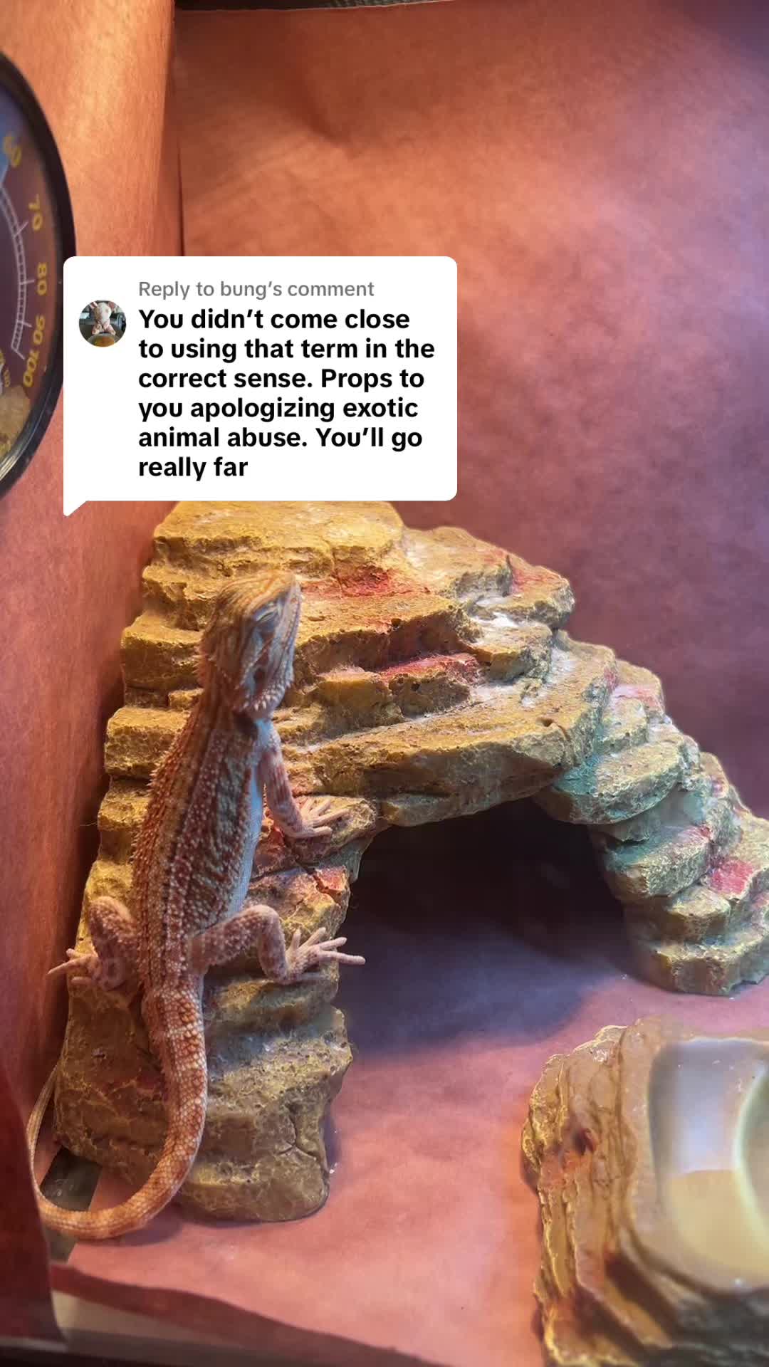 @Mezzy 🦎