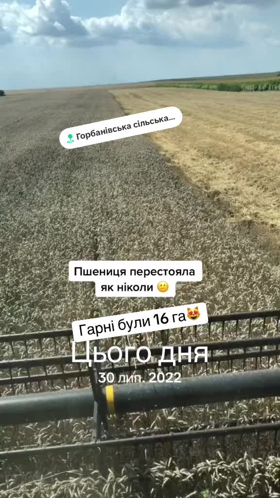 @Denys Pluzhnyk