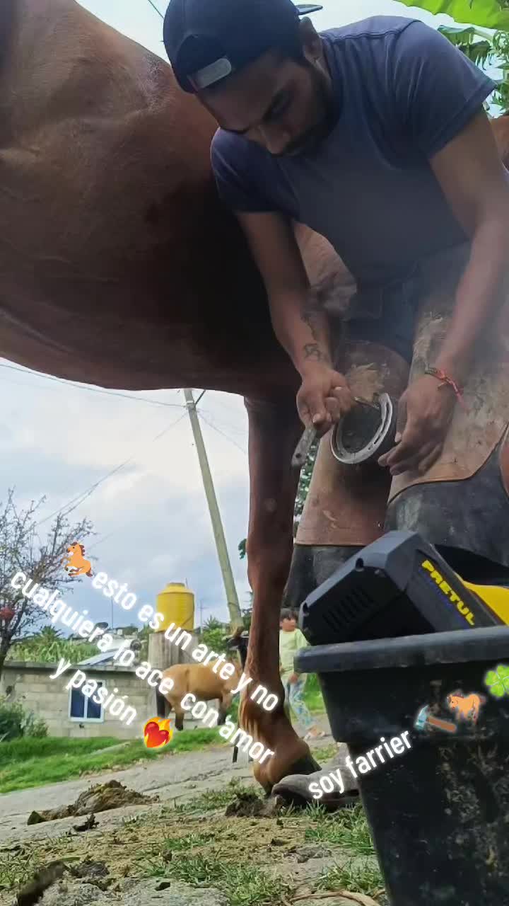 @Carlos Guzm&aacute;n 🔨🐎