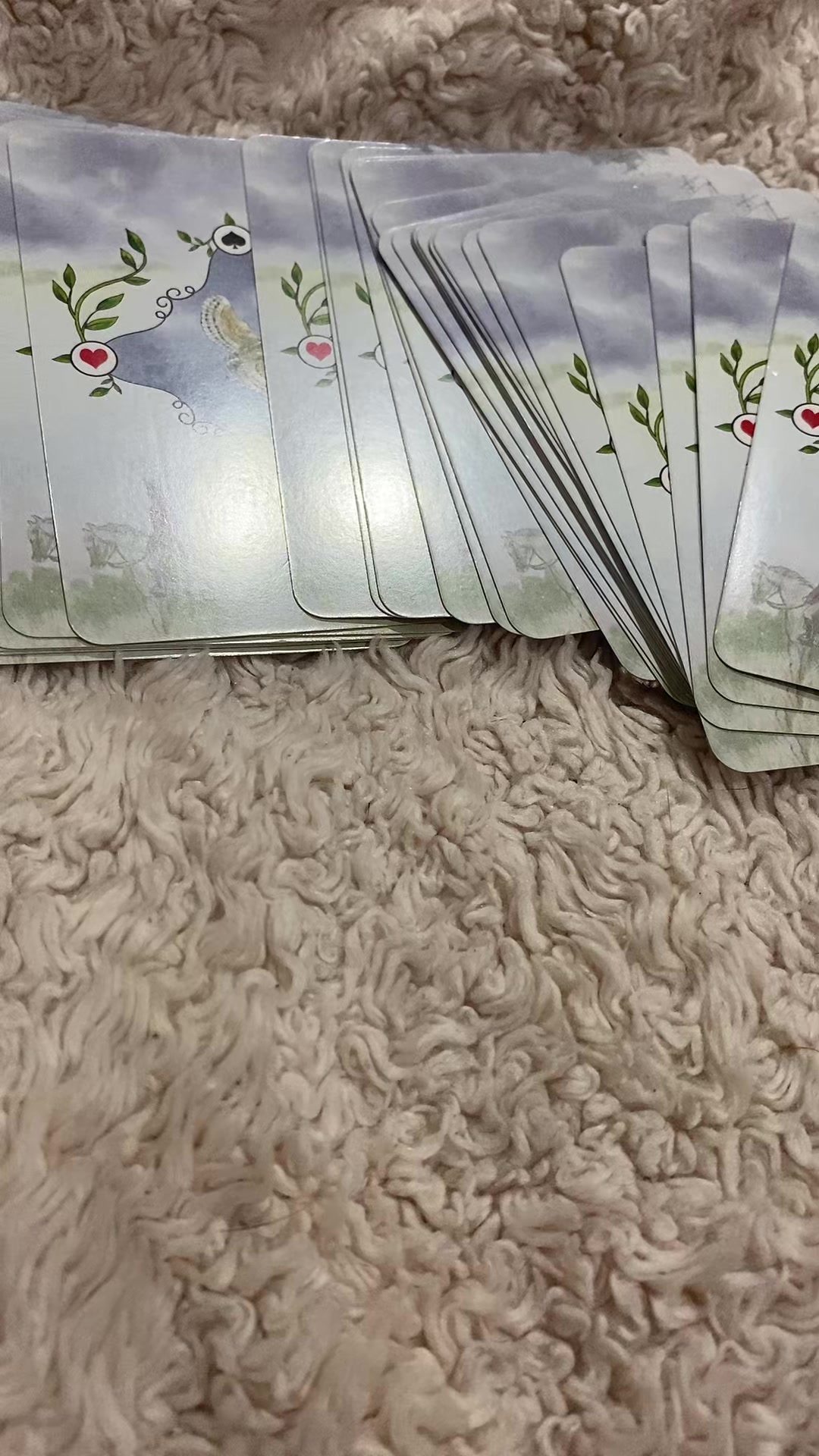@lenorman8891