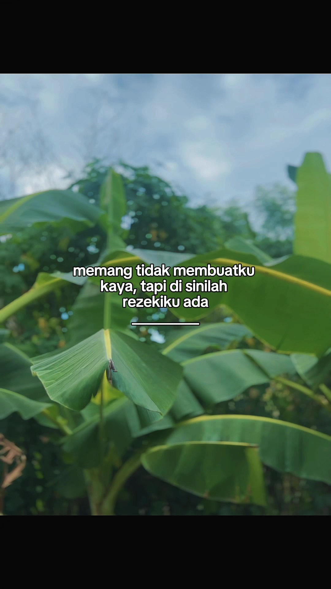 @INTROVERT