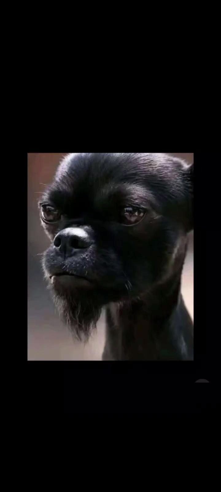 @Gcwabe.Sphesihlerh