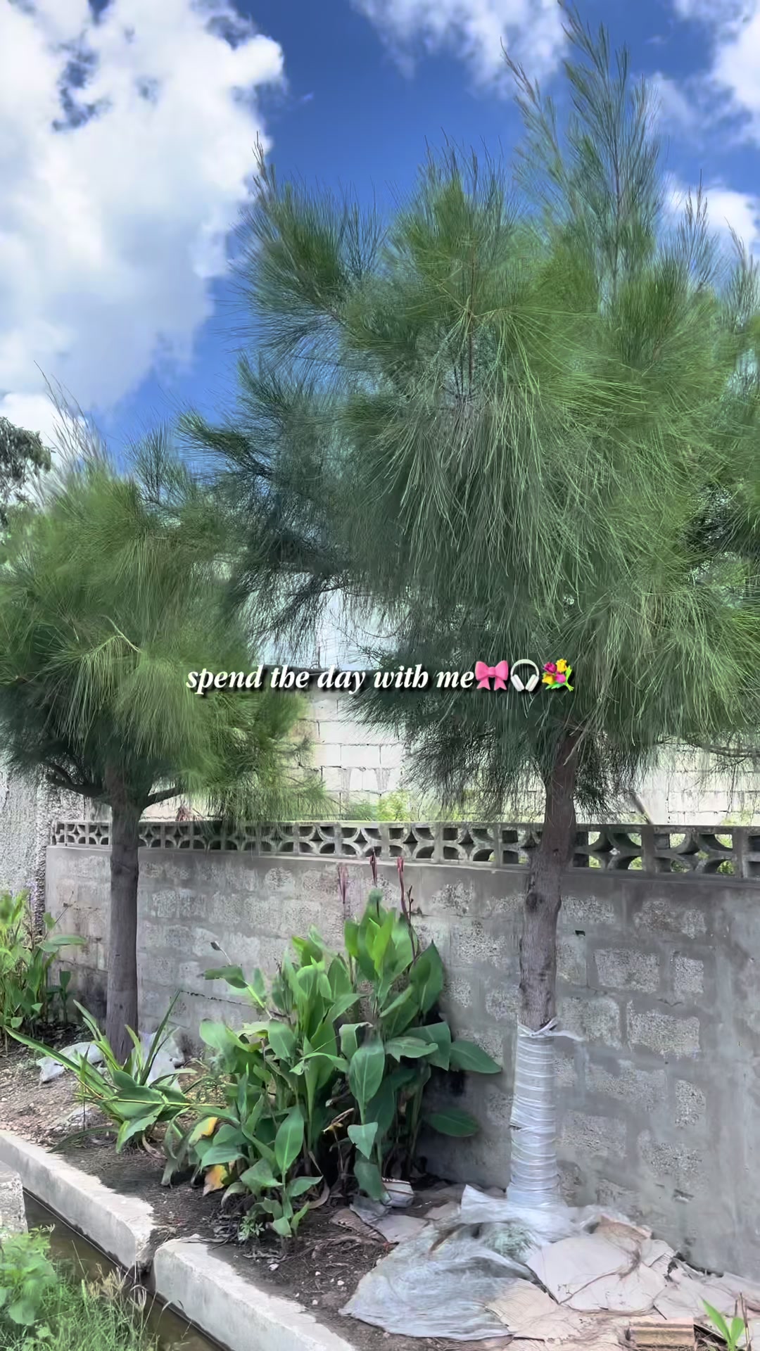 @thalia🎀