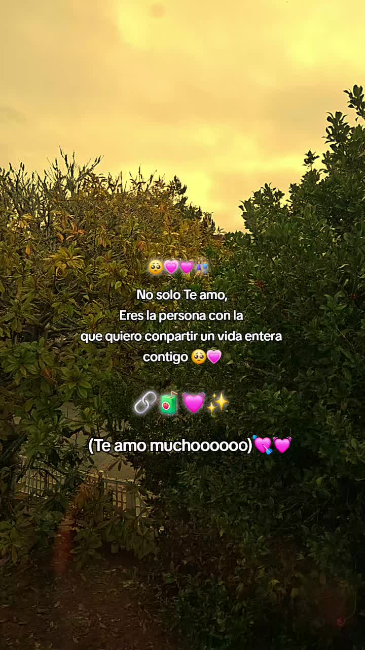 @✨️🧸fraces ✨️🧸