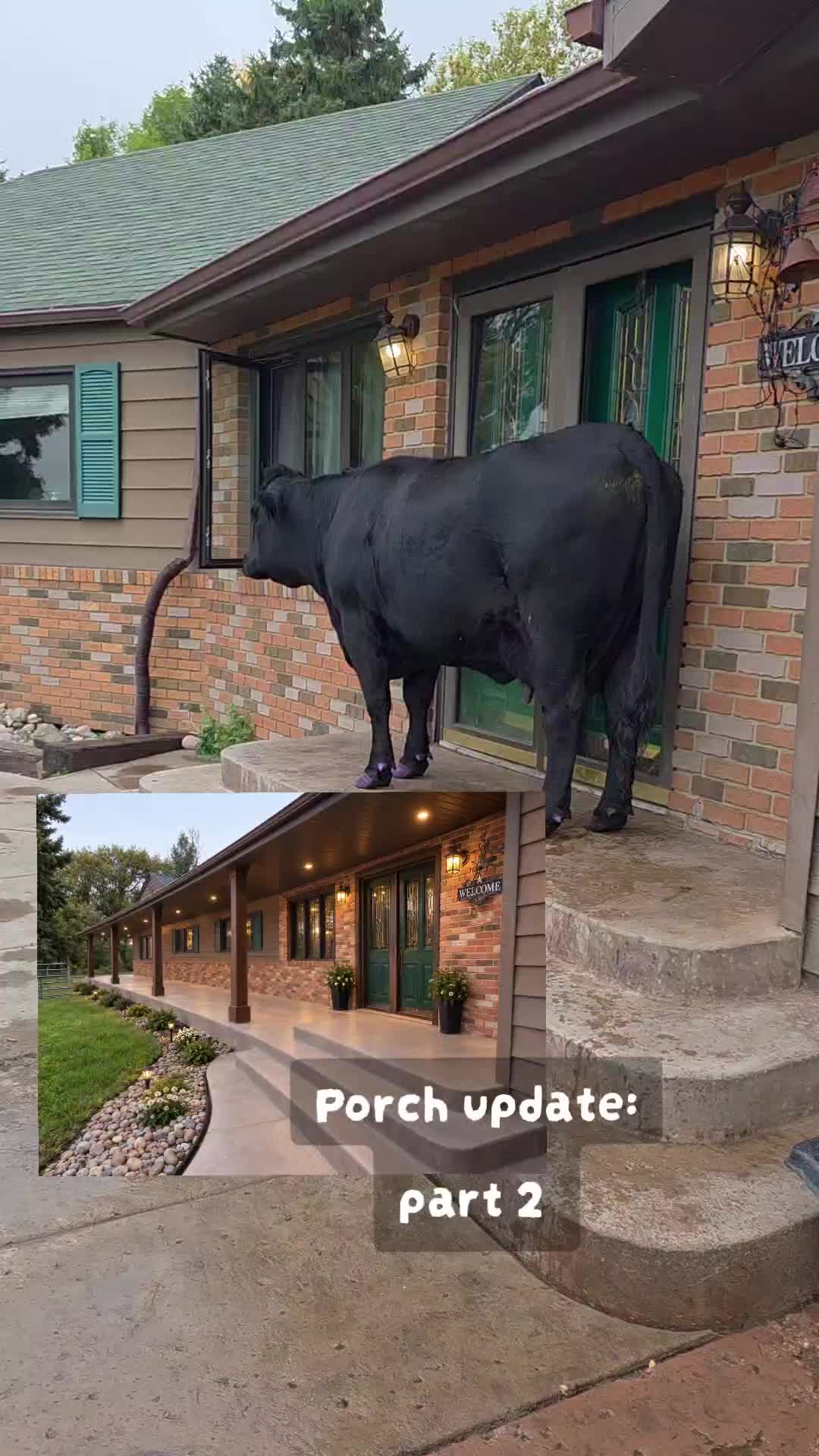 @Dakotafunnyfarm