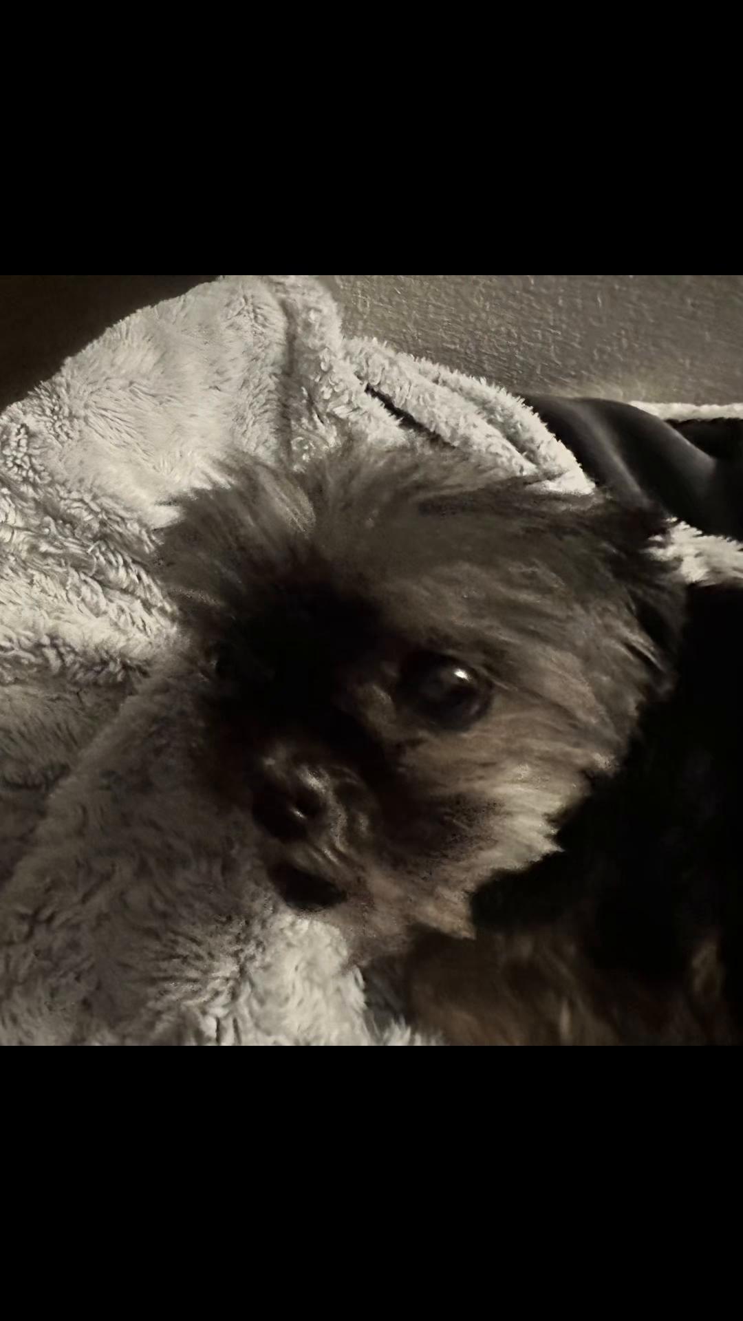 @Sleepy_person