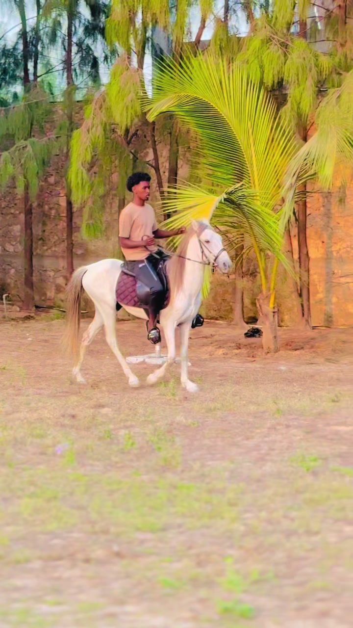 @Duliyaha🐎diyaradadhulka🇸🇴🐎