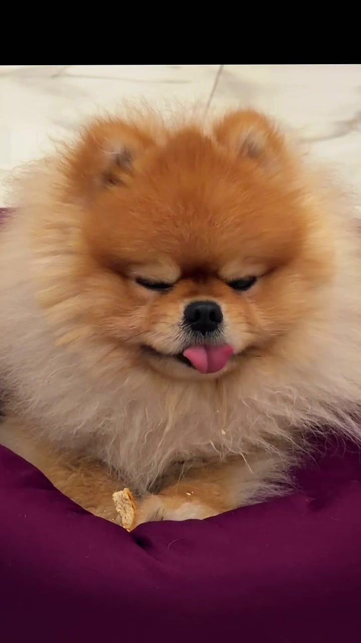 @Öykü