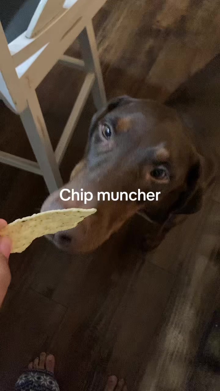 @🦓🦓🦎🦓🦓