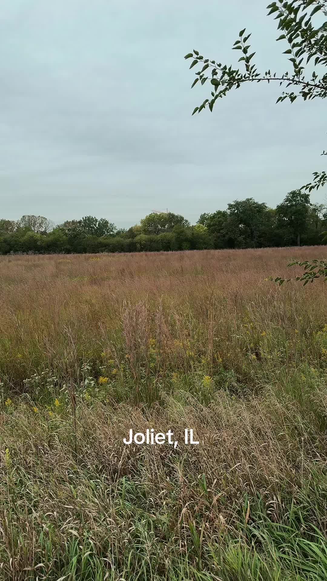@jaysohegxmf