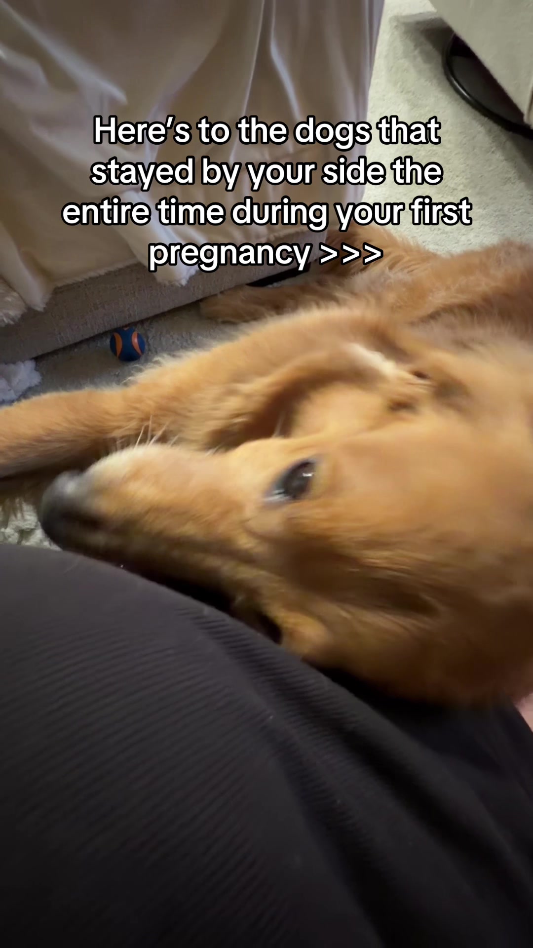 @🐾 Mav&MamaMel🤰🏼