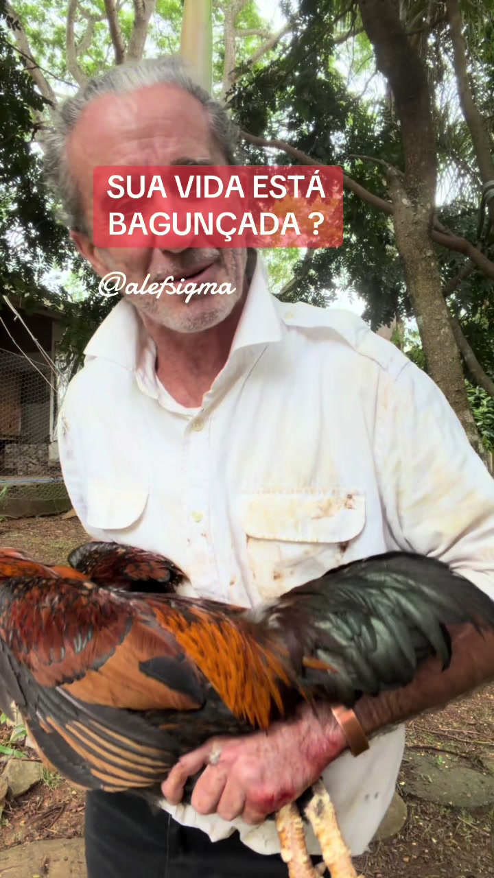 @Alef Sigma ® Dr.h.c.Terapeuta